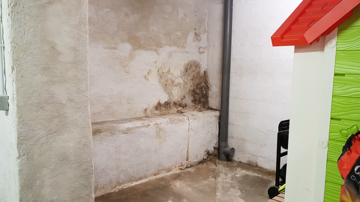 Infiltrations d'eau - Expertise humidité à Argenteuil